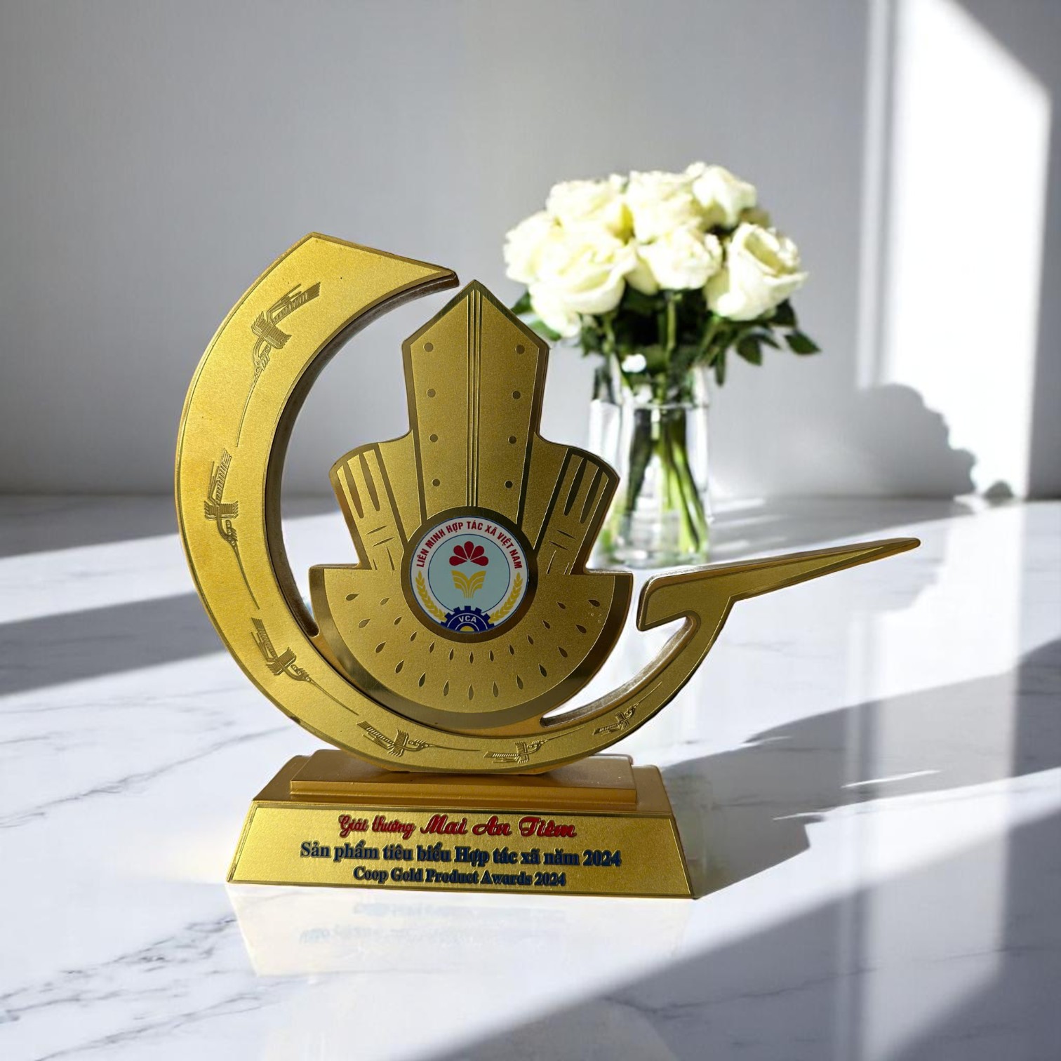 Cúp & Kỷ Niệm Chương